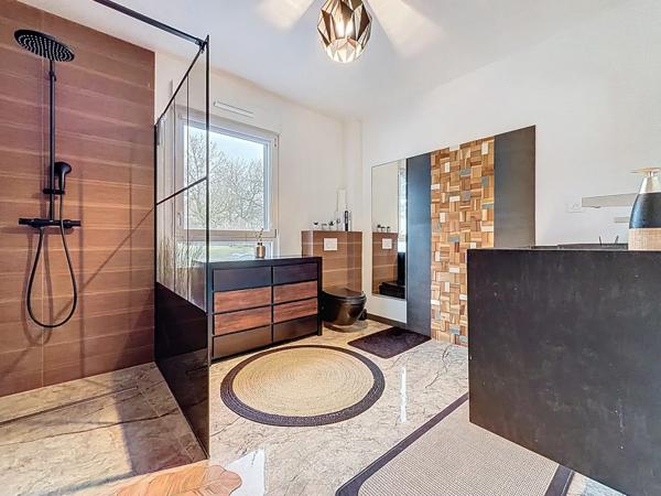 Nouveauté ORIGAMI en EXCLUSIVITÉ sur Lingolsheim