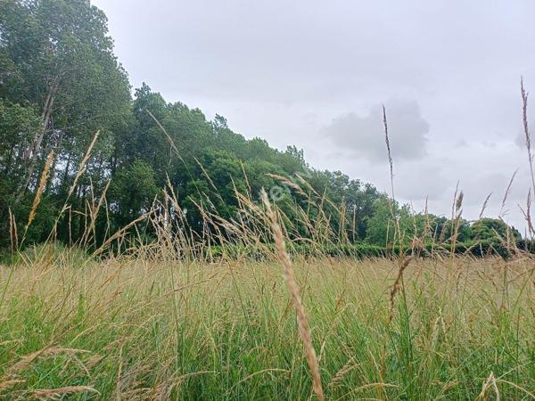 Terrain à batir de 500 m² à Saujon, à quelques minutes du centre ville.