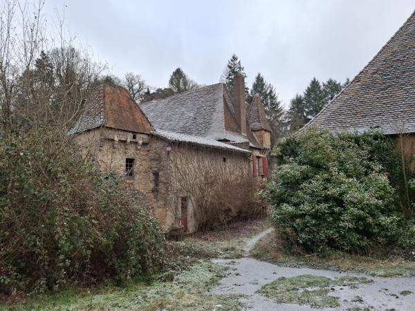 Chateau à vendre à Champagnac-la-Rivière (87150) - Haute-Vienne