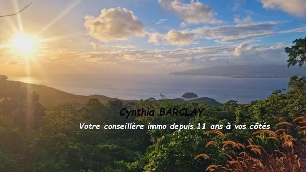 Villa à LES ANSES D'ARLET (97217)