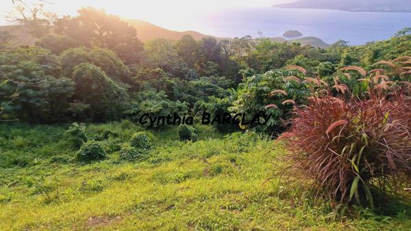 Villa à LES ANSES D'ARLET (97217)