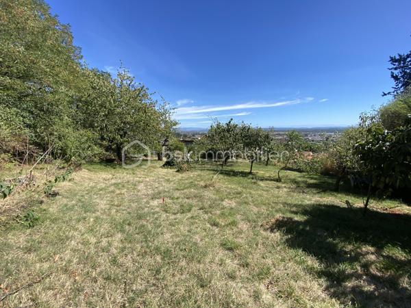 En exclusivité, sur les hauteurs de Montluel, venez découvrir ce terrain exceptionnel par sa taille et sa vue magnifique sur les Alpes et Mont Blanc. 
Au calme et sans aucun vis à vis, ce terrain de 895m2 légèrement en pente, vous permettra de réaliser la construction de vos rêves. 
Le terrain est non viabilisé (étude viabilité et VRD réalisée)
L'étude de sol G1 est en cours. 
Libre constructeur.
Des projets de constructions ont été réalisés pour vous donner des idées. 
A découvrir sans tarder!