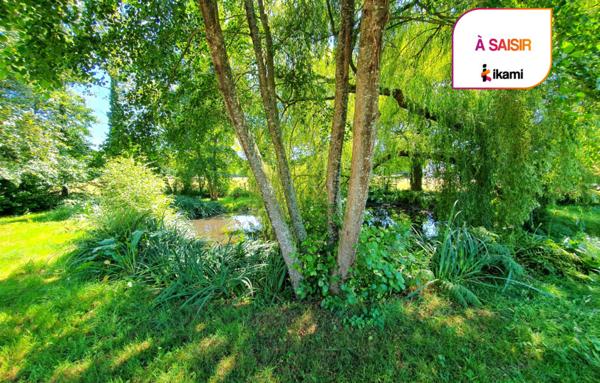 Murs Commerciaux de 208 m²