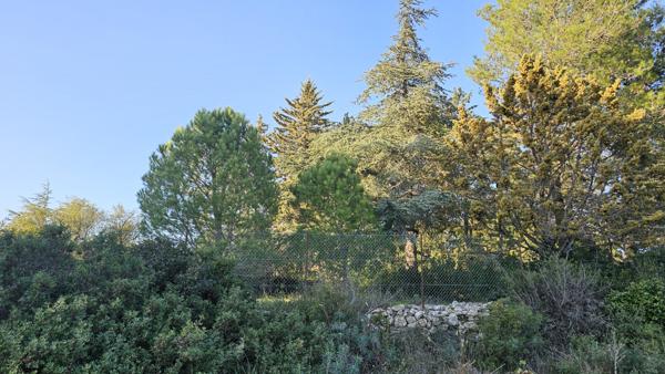 Pignan (34570) Grand terrain constructible 1352 m²- Quartier prisé sur les hauteurs de Pignan