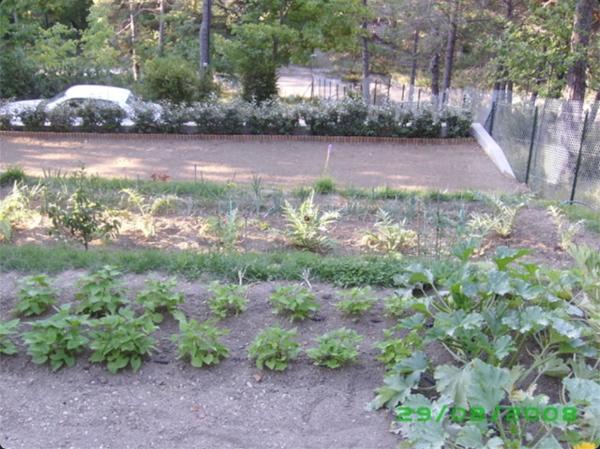 Terrain Andon 1600 m2