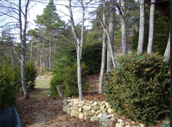 Terrain Andon 1600 m2