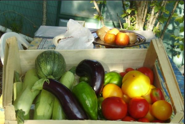 Terrain Andon 1600 m2