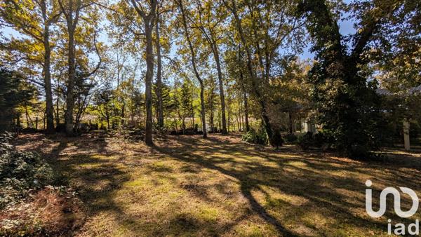 Maison à vendre 6 pièces 400 m² Belin-Béliet