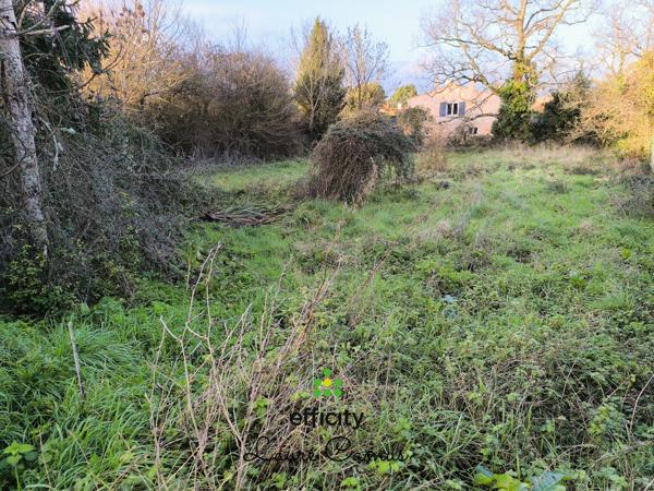 Terrain - 834 m² Exclusivité efficity