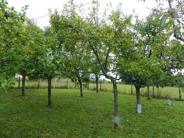 Saint-Martin-du-Vieux-Bellême (61130) "SOUS COMPROMIS" " A vendre longère environnement exceptionnel à 5mn de Bellême