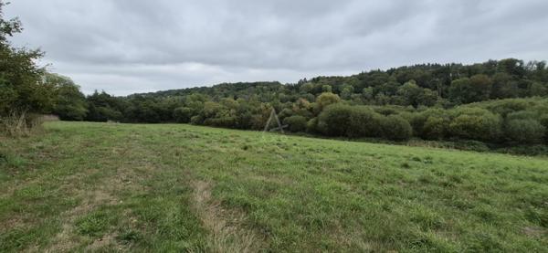 CORPS DE FERME EN PIERRE – 2,3 HECTARES – PROPRIÉTÉ ÉQUESTRE – CALME ABSOLU
