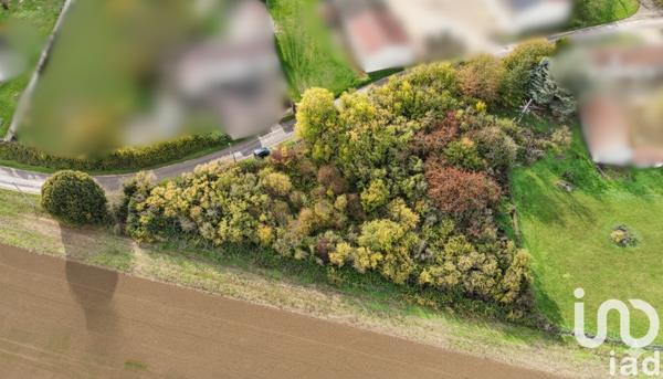Terrain à vendre 3 316 m² Avant-lès-Marcilly