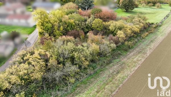 Terrain à vendre 3 316 m² Avant-lès-Marcilly