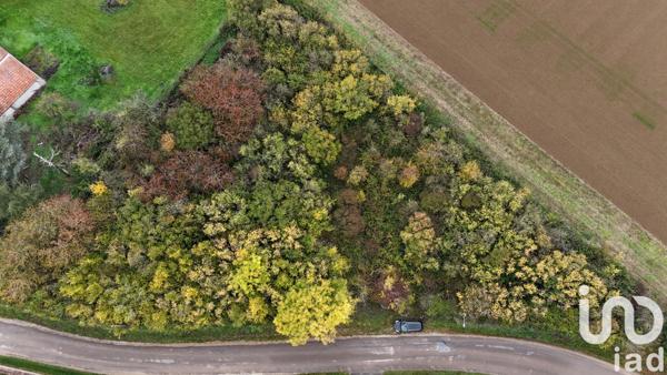 Terrain à vendre 3 316 m² Avant-lès-Marcilly