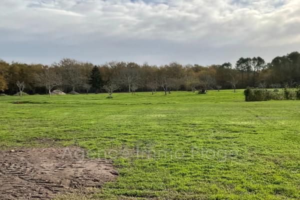 Vente terrain à bâtir à Grayan-et-l'Hôpital, Campagne