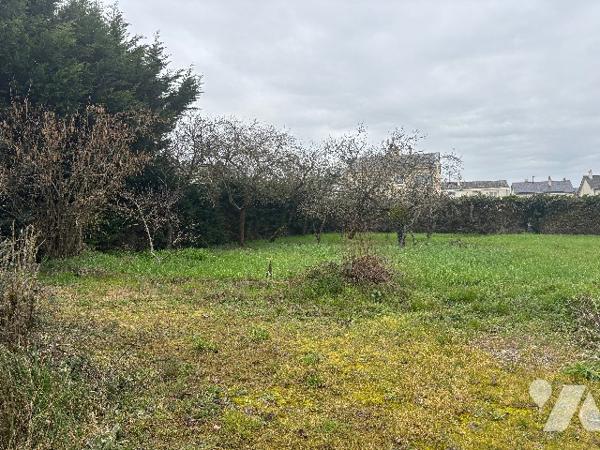 A VENDRE - TERRAIN CONSTRUCTIBLE A CHAMPTOCE-SUR-LOIRE
