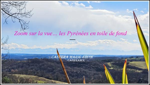 Maison contemporaine - 9 pièces - Studio - Garages - Piscine- Vue Pyrénées- AUCH (32)