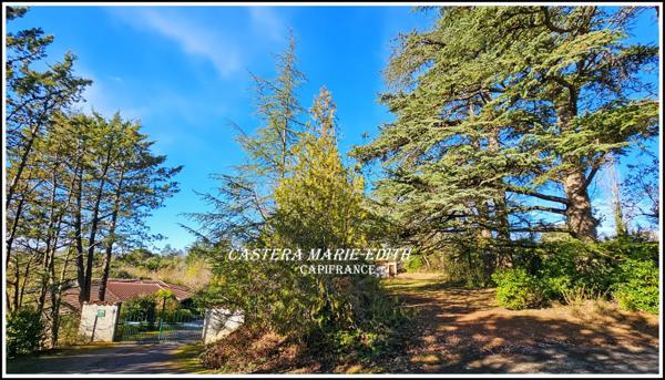 Maison contemporaine - 9 pièces - Studio - Garages - Piscine- Vue Pyrénées- AUCH (32)