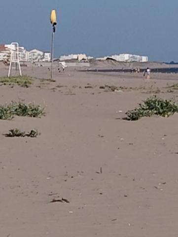 APPARTEMENT RDC CENTRE VILLE BALNEAIRE