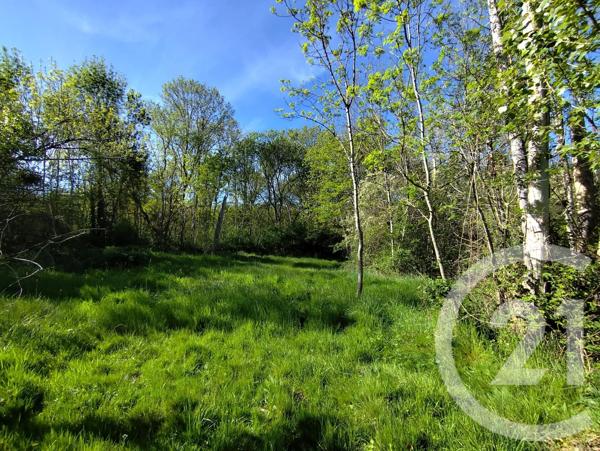 Terrain à vendre  m 2   VICQ EXEMPLET  - 36