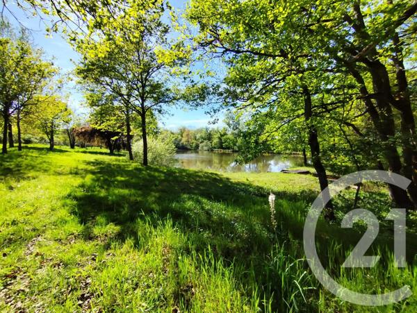 Terrain à vendre  m 2   VICQ EXEMPLET  - 36