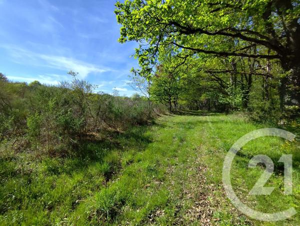 Terrain à vendre  m 2   VICQ EXEMPLET  - 36