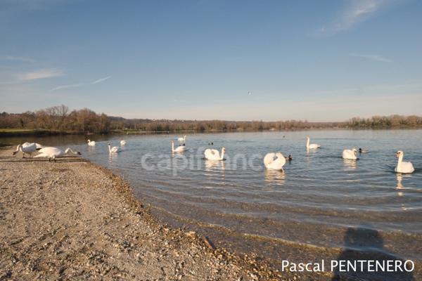 A vendre VAULX EN VELIN appartement T4 traversant