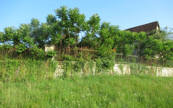 Maison à vendre    1 pièce • 331 m2 Bussière-Galant