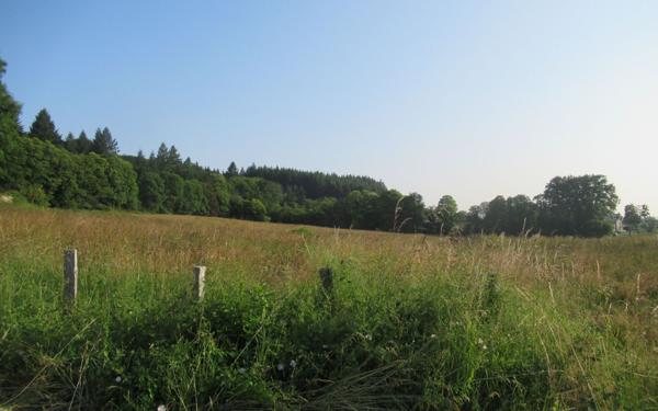 Maison à vendre    1 pièce • 331 m2 Bussière-Galant