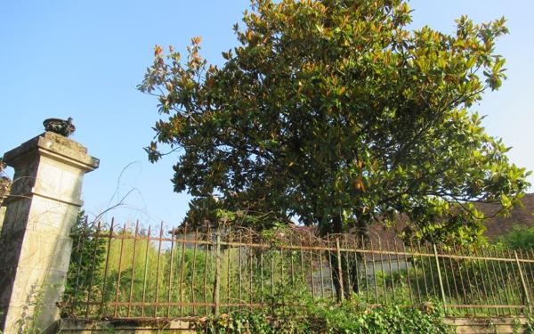 Maison à vendre    1 pièce • 331 m2 Bussière-Galant