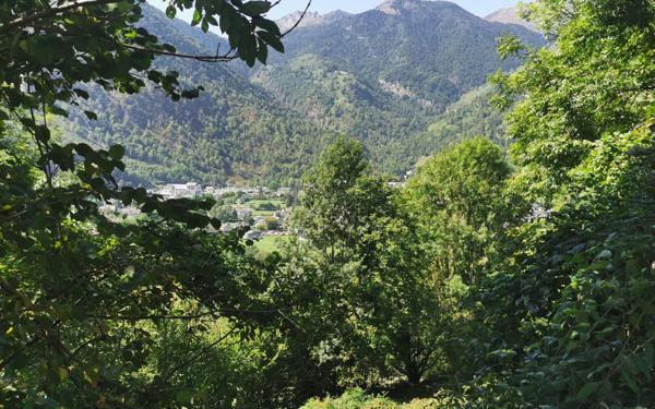 Terrain à vendre    Eaux-Bonnes