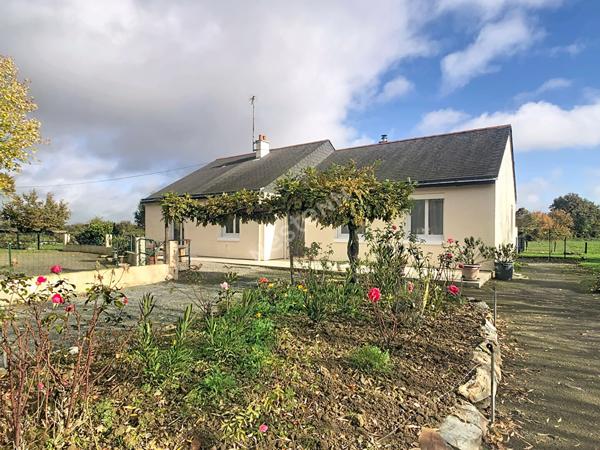 A vendre, maison en campagne du Lion-d'Angers et proche de Segré, avec quatre chambres et près de 6000m2 de terrain