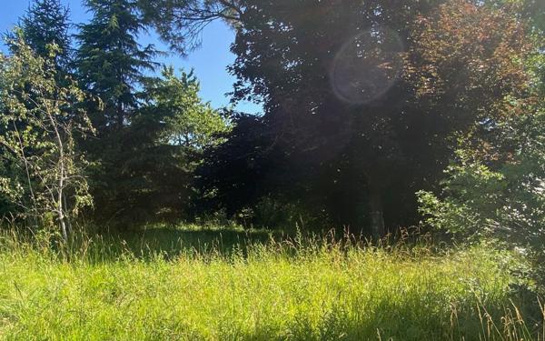 Terrain à vendre    Créon