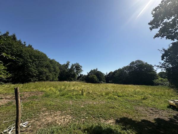 Authentique avec parc, prairie et piscine