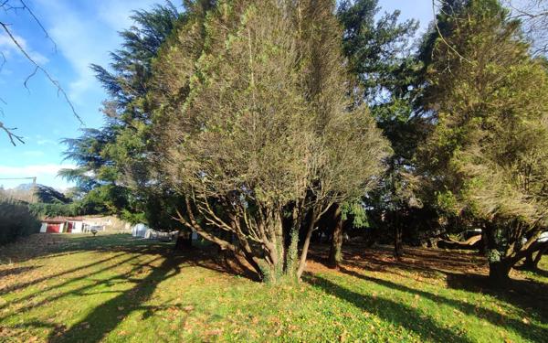 Maison à vendre    3 pièces •  Peyrehorade