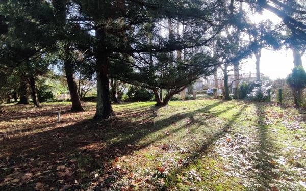 Maison à vendre    3 pièces •  Peyrehorade