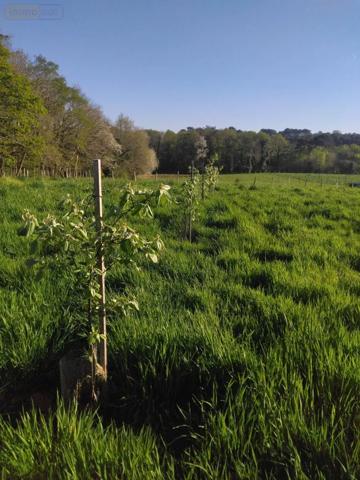 Achat - Terrain de loisirs, bois, étangs Nivillac 56130 46586 m 2
