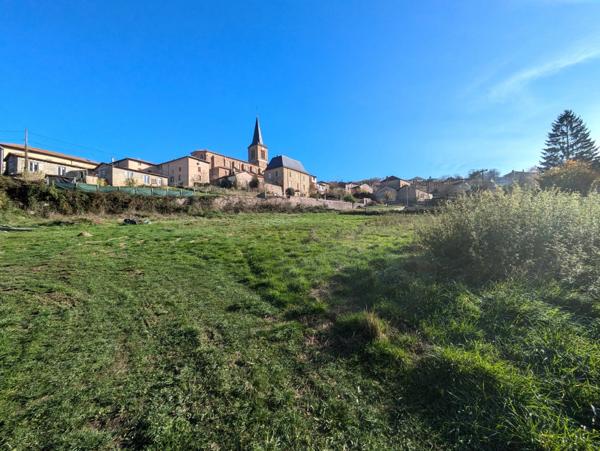 Terrain à bâtir – Sainte-Colombe-sur-Gand (42540)