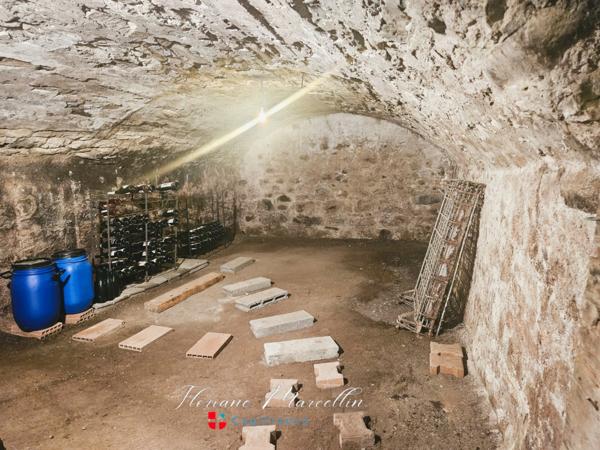 Maison à vendre 5 pièces SAINT LAURENT (74)