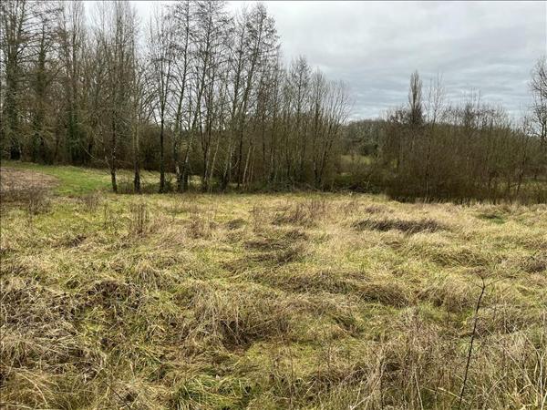 Terrain à vendre |  Meyssac |  2780 m²