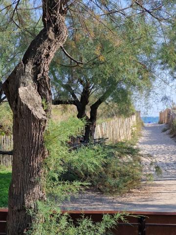 APPARTEMENT 2 PIÈCES 33M2 1ÉRE LIGNE VUE MER