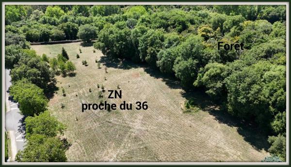 Vente / Domaine