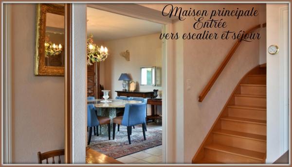 Vente / Domaine