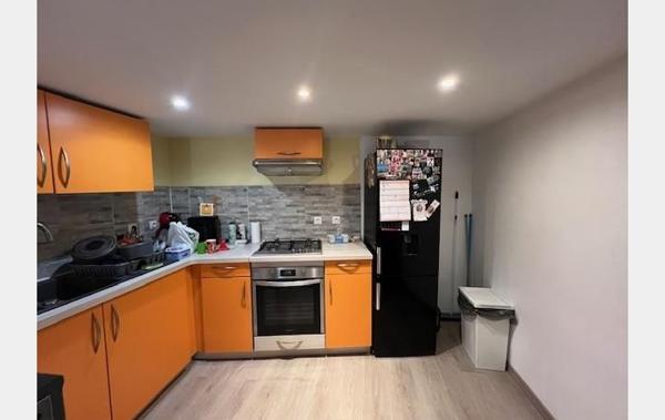 Vente Immeuble 3 appartements rénové(e) Abeilhan   