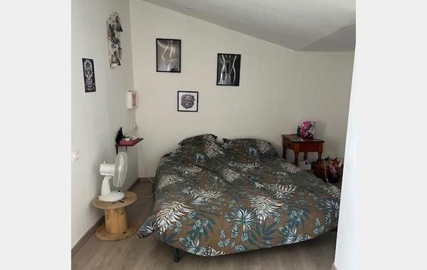 Vente Immeuble 3 appartements rénové(e) Abeilhan   