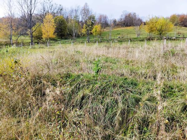 Dpt Savoie (73), à vendre LES DESERTS terrain de 802m2 + permis de construire accordé