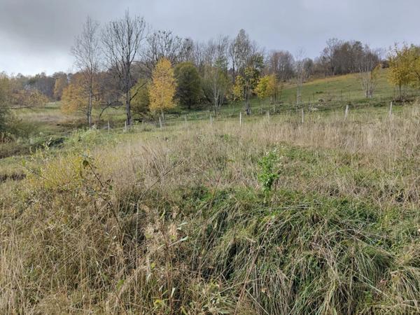 Dpt Savoie (73), à vendre LES DESERTS terrain de 802m2 + permis de construire accordé