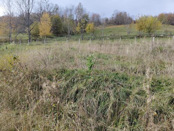 Dpt Savoie (73), à vendre LES DESERTS terrain de 802m2 + permis de construire accordé