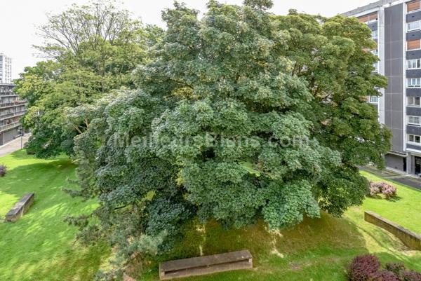 Appartement 4 pièces - Sarcelles - quartier Paul Herbé