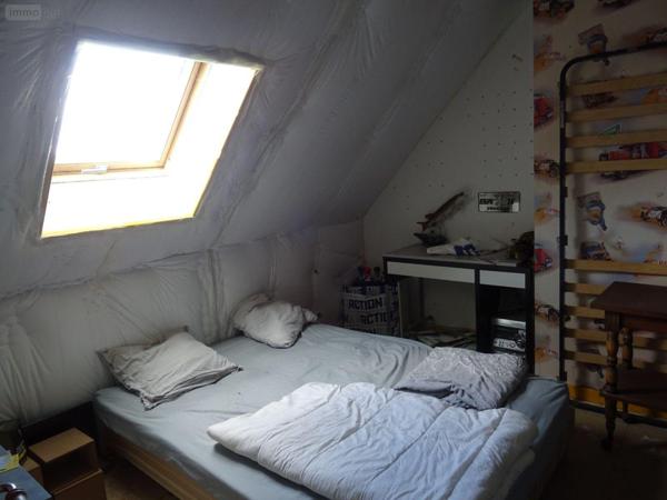 Maison à vendre à Langé dans l'Indre (36600), ref : 36019/809